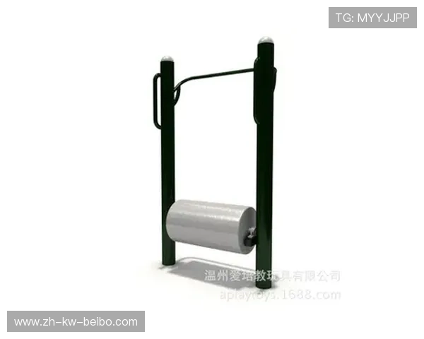 预算友好型减脂健身器材效果对比实验